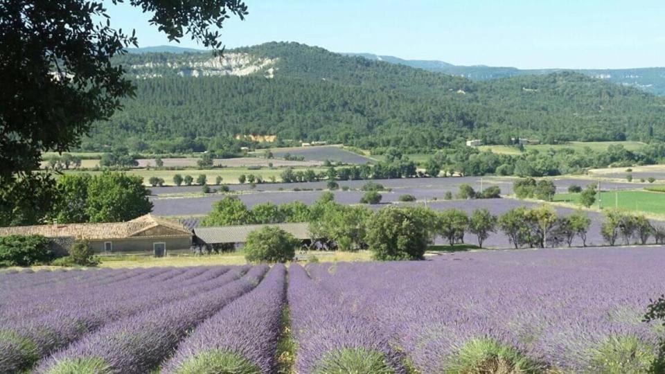 Chambre Privee Independante Au Coeur Du Luberon Saint-Saturnin-d'Apt Eksteriør billede